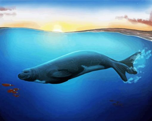 Monk Seal Underwater Paint By Number