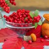 Mushroms And Rowanberry In Bowl Paint By Number