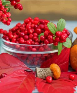 Mushroms And Rowanberry In Bowl Paint By Number