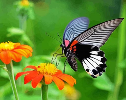 Orange Flowers And Butterfly Paint By Number