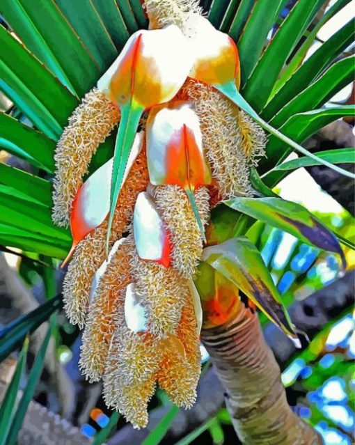 Pandanus Flower Paint By Number