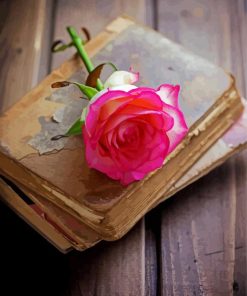 Pink Rose Flower On Book Paint By Number