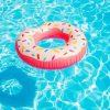 Pink Donut In Pool Art Paint By Number