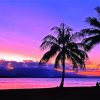 Port Douglas Beach At Sunset Paint By Number