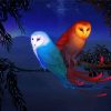 Red And Blue Bird Owls On Branch Paint By Number