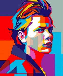 River Phoenix Pop Art Paint By Number