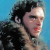 Robb Stark Side Profile Art Paint By Number