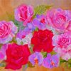 Roses And Orchids Art Paint By Number