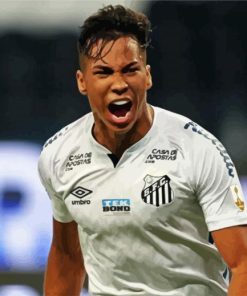 Santos FC Player Paint By Number