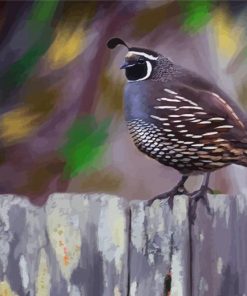 The California Quail Art Paint By Number