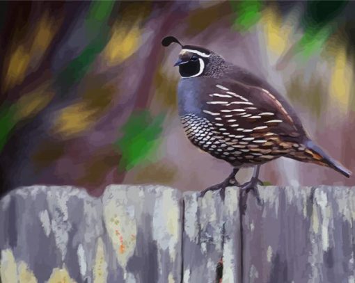 The California Quail Art Paint By Number