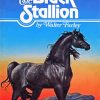 The Black Stallion Poster Paint By Number