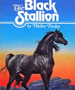 The Black Stallion Poster Paint By Number