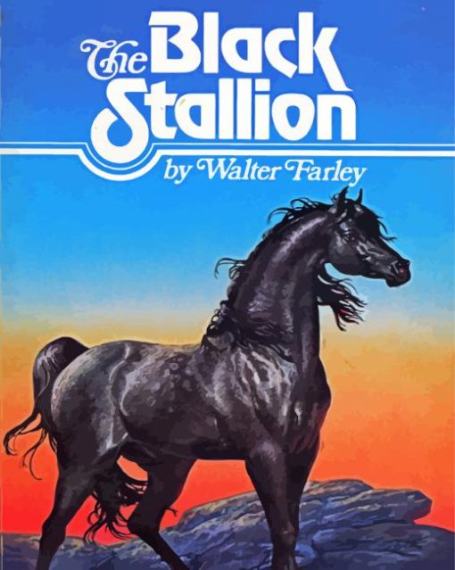 The Black Stallion Poster Paint By Number