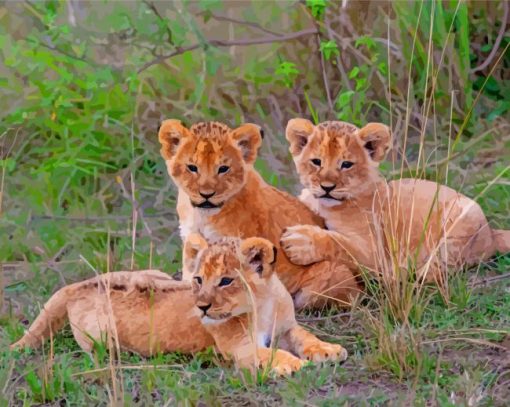 Three Lions Cubs Paint By Number