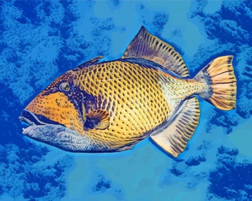 Tiggerfish Art Paint By Number