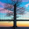 Verazzano Bridge And Tree Paint By Number