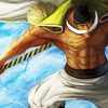 Whitebeard Anime Character Art Paint By Number