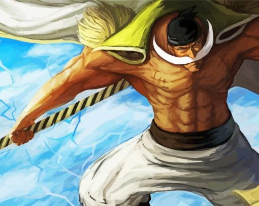 Whitebeard Anime Character Art Paint By Number