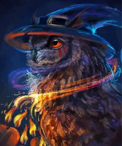 Witch Owl Paint By Number