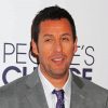 Actor Adam Sandler Paint By Number