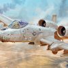 Aesthetic A10 Aircraft Art Paint By Number