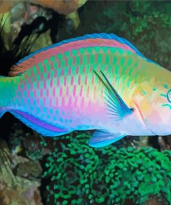 Aesthetic Parrot Fish Art Paint By Number