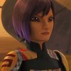 Aesthetic Sabine Wren Paint By Number