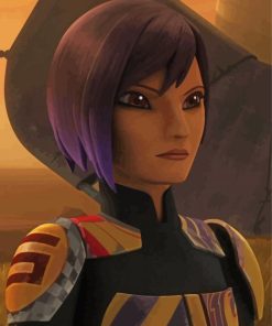 Aesthetic Sabine Wren Paint By Number