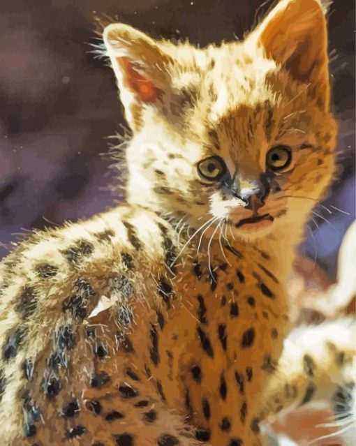 Baby Serval Paint By Number