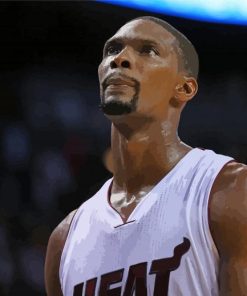 Basketball Player Chris Bosh Paint By Number