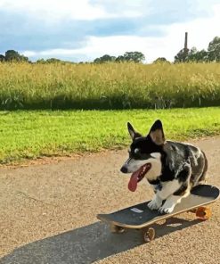 Beautiful Dog Skateboard Paint By Number