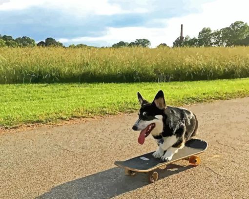 Beautiful Dog Skateboard Paint By Number