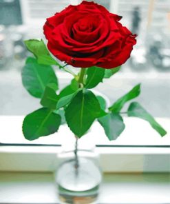 Beautiful Single Rose In Vase Paint By Number