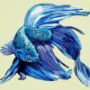 Blue Betta Fish Art Paint By Number