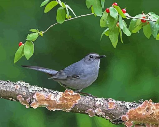 Catbird On A Branch Paint By Number