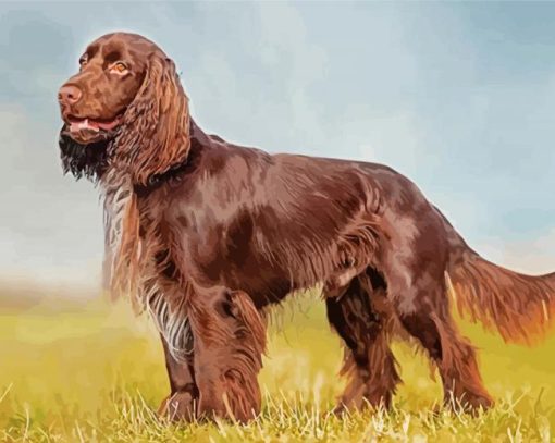 Chocolate Brown Field spaniel Paint By Number