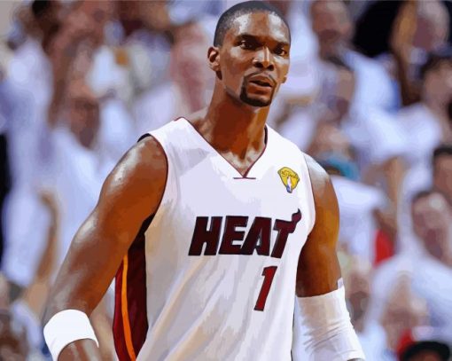 Chris Bosh Player Paint By Number