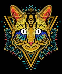 Cool Cat Mandala Paint By Number