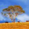 Cows Under Gumtree Paint By Number