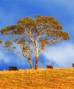 Cows Under Gumtree Paint By Number