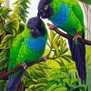 Cute Nanday Conure Parrots Paint By Number