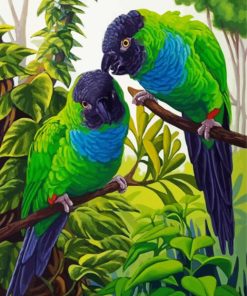 Cute Nanday Conure Parrots Paint By Number