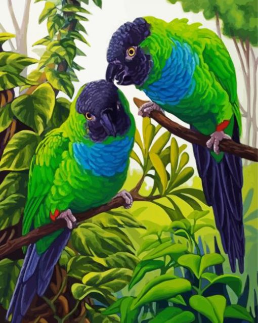 Cute Nanday Conure Parrots Paint By Number