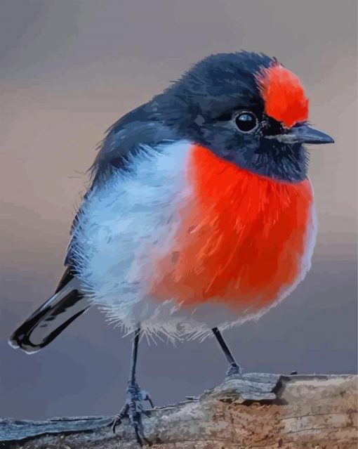 Cute Red Capped Robin Paint By Number