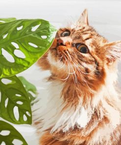 Cute Cat Plant Paint By Number