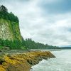 Haida Gwaii Forest By Beach Paint By Number