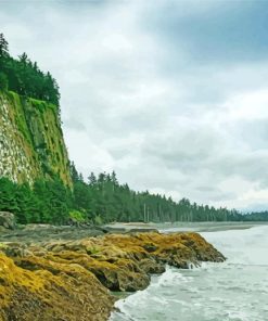 Haida Gwaii Forest By Beach Paint By Number