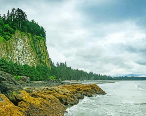 Haida Gwaii Forest By Beach Paint By Number