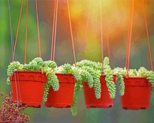 Hanging Plants Pots Paint By Number